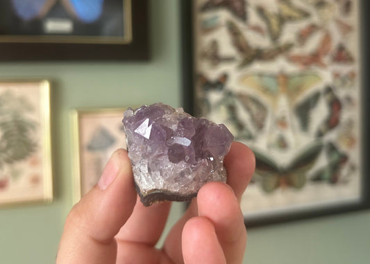 Raw Amethyst Crytsal